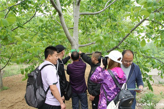 1577086216130773.jpg 12.jpg