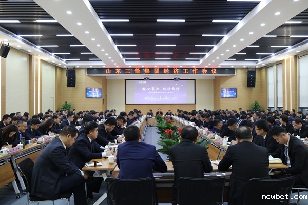 1578986418749183.jpg 山东点点taptap国际经济工作会议.JPG