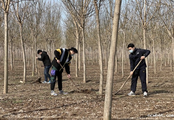 1617336790112844.jpg 3.jpg