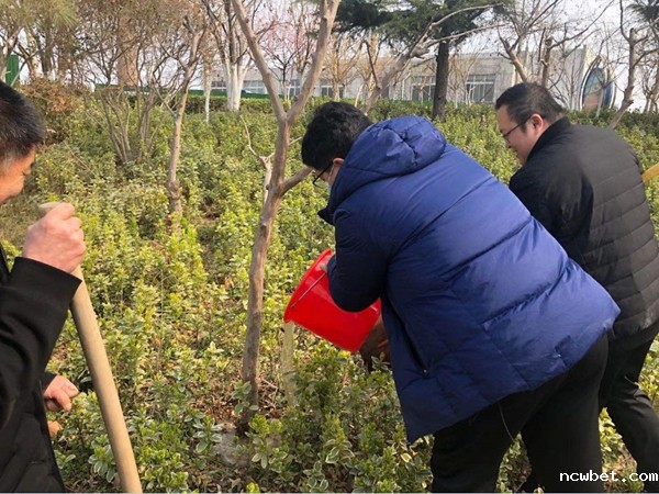 1617336867785041.jpg 7.jpg