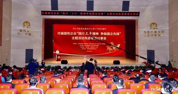 山东点点taptap国际1个集体和2名个人获市国资委“践行‘三牛’精神 争做国企先锋”表彰