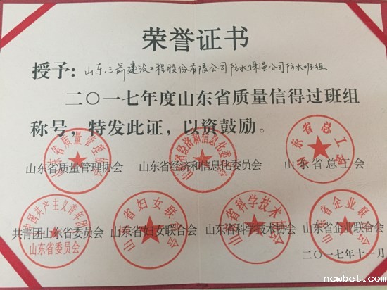 点点taptap国际防水公司喜获2017年度山东省质量信得过班组称号