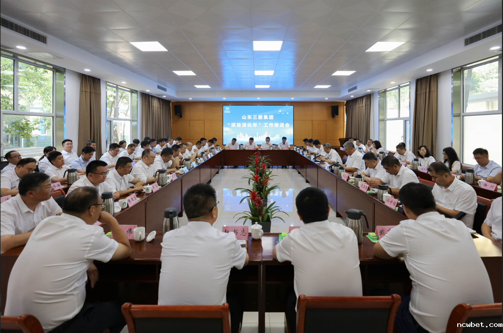山东点点taptap国际召开“项目深化年”工作推进会