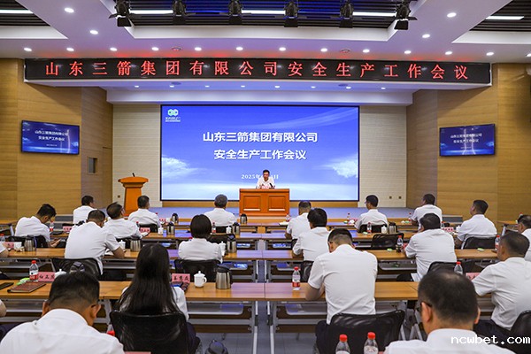 山东点点taptap国际召开安全生产工作会议