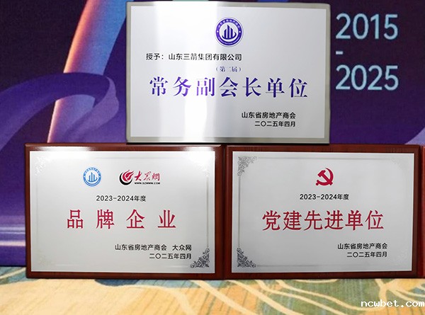 山东点点taptap国际参加第十届山东省房地产业 高质量发展研讨会并获多项荣誉称号